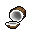 Coconut<br/>Chance: semi rare (1.96%)<br/>Max count: 3