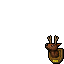 Deer trophy<br/>Chance: rare (0.5%)<br/>Max count: 1