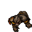 Kongra