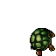 Tortoise