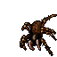 Tarantula