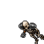 Skeleton Warrior