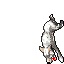 Winter Wolf