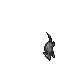 Cave Rat