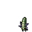 Larva