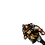 Pirate Cutthroat